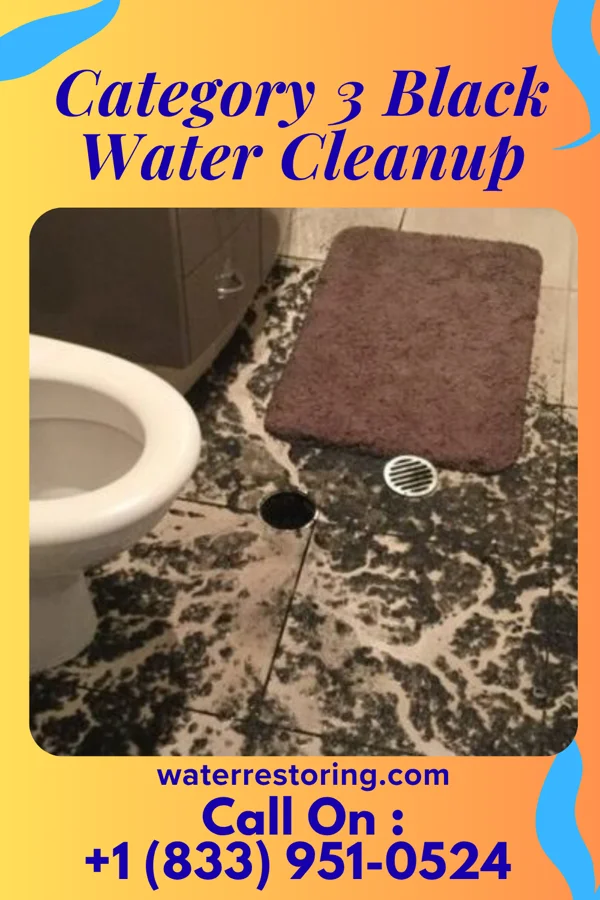 Category 3 Black Water Cleanup in Lucas, TX
