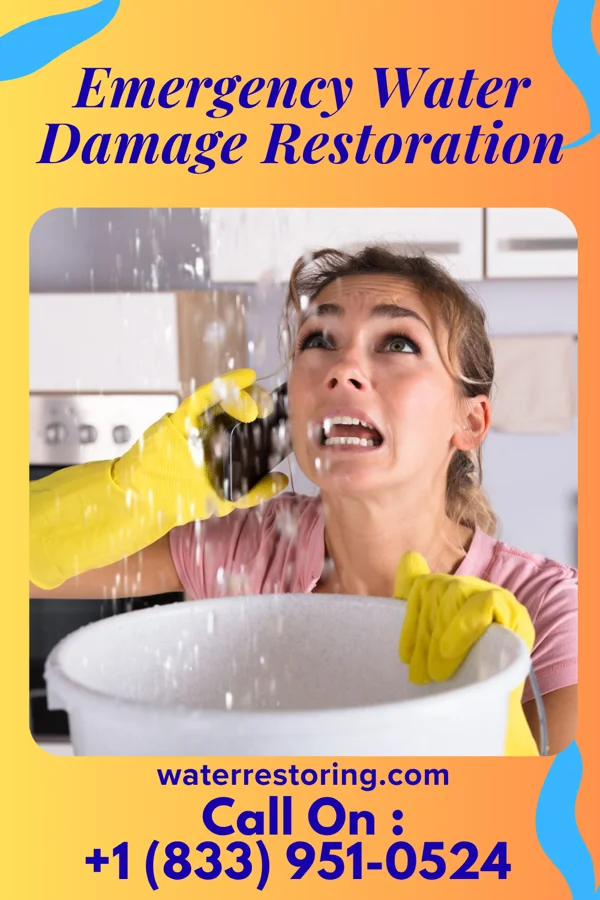 Emergency Water Damage Restoration in Lucas, TX