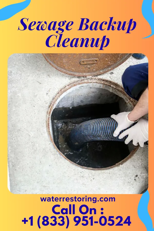 Sewage Backup Cleanup in Lucas, TX